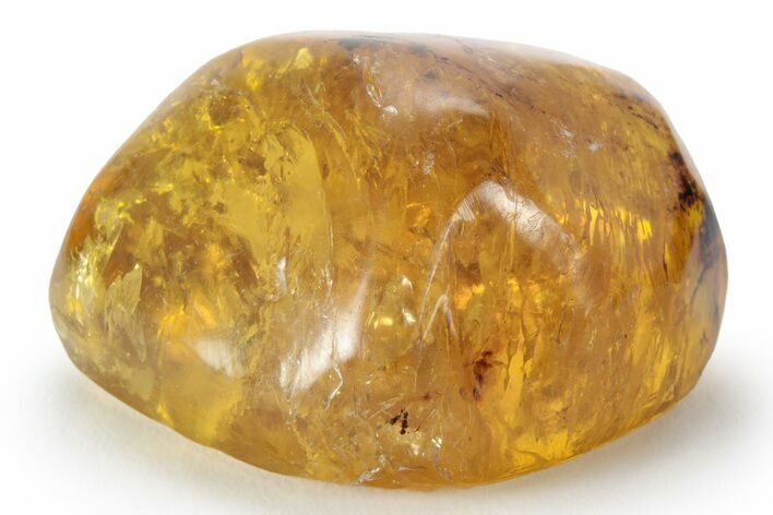 Polished Chiapas Amber ( g) - Mexico #232562
